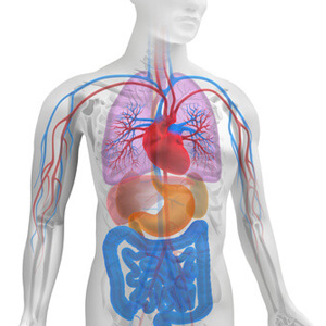 Ketosis Explained